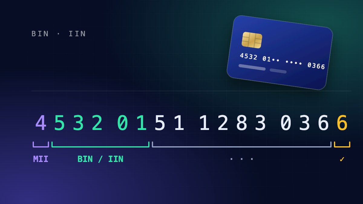 Comprendre les numéros BIN : guide pour les développeurs